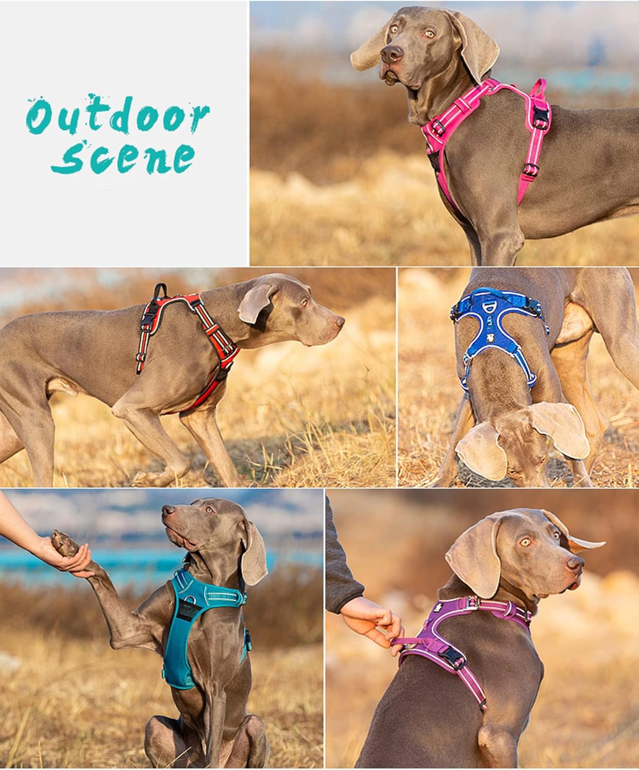 TRUE LOVE Dog Harness No Pull Nylon Reflective Pet Harness Adjustable Comfortable Control Step-in Brilliant Colors Truelove TLH56512
