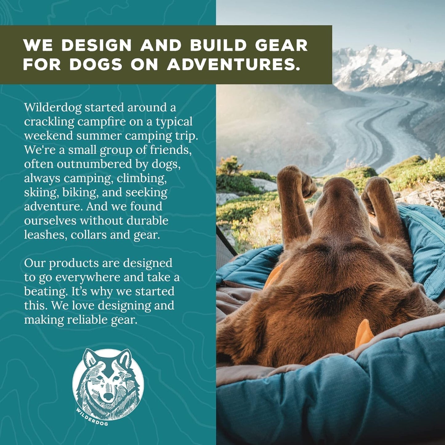 Wilderdog Lightweight Dog Harness with Reflective Straps - Large - Seafoam